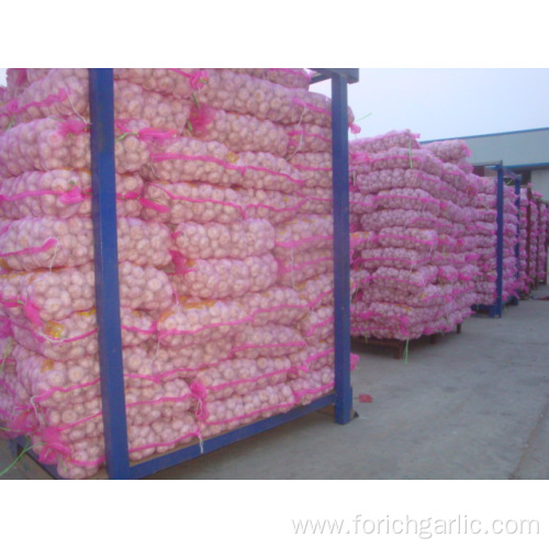 Large Bag Normal White Garlic Packed 500g bag